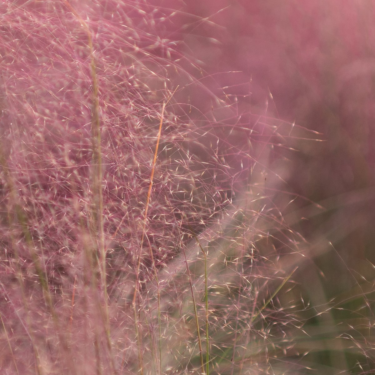 MK-35MM F0.95 Aps-C X