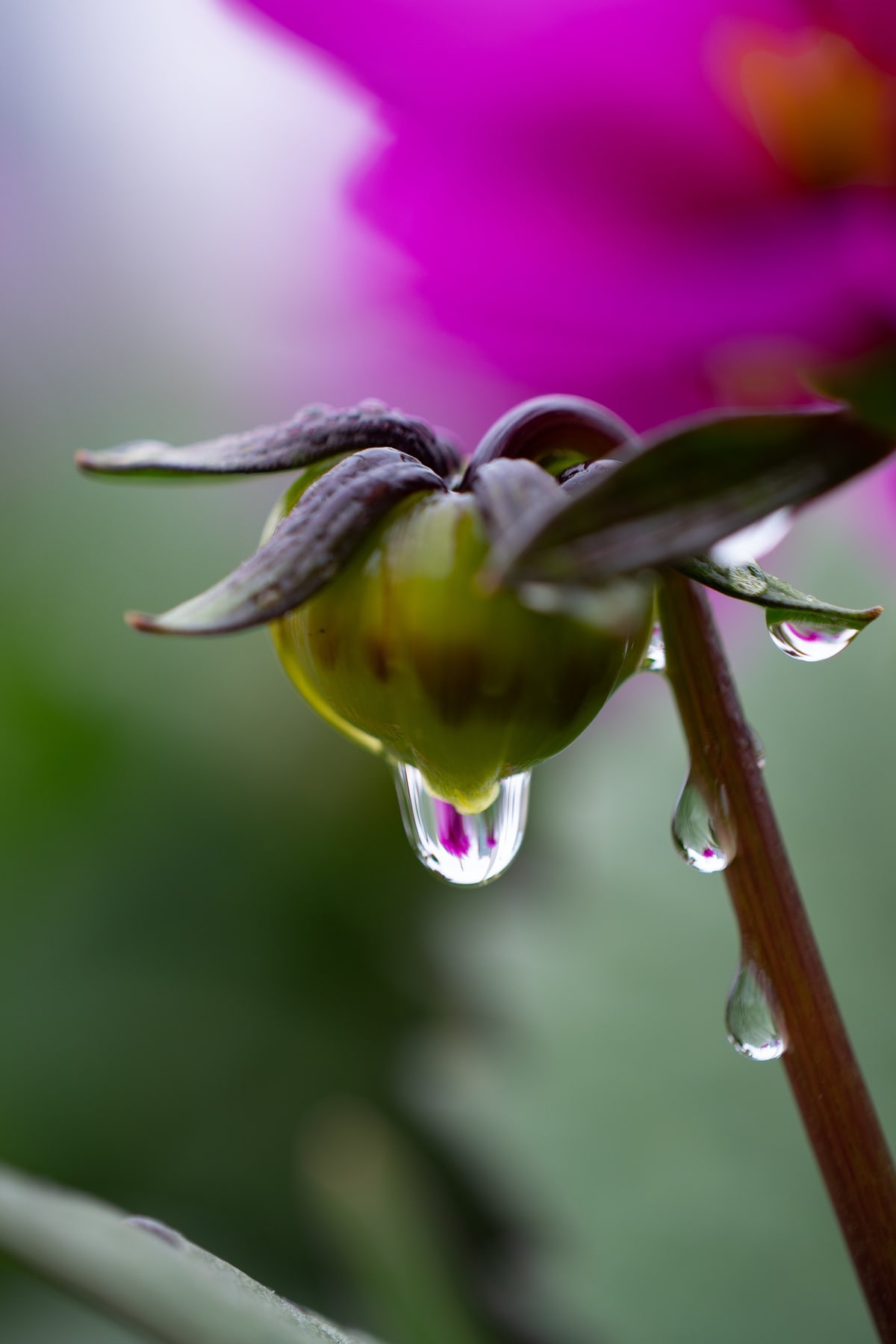 MK-60MM F2.8 Aps-C EF
