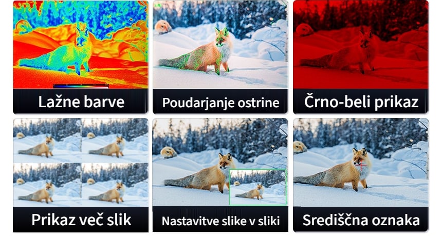 Profesionalne pomožne funkcije