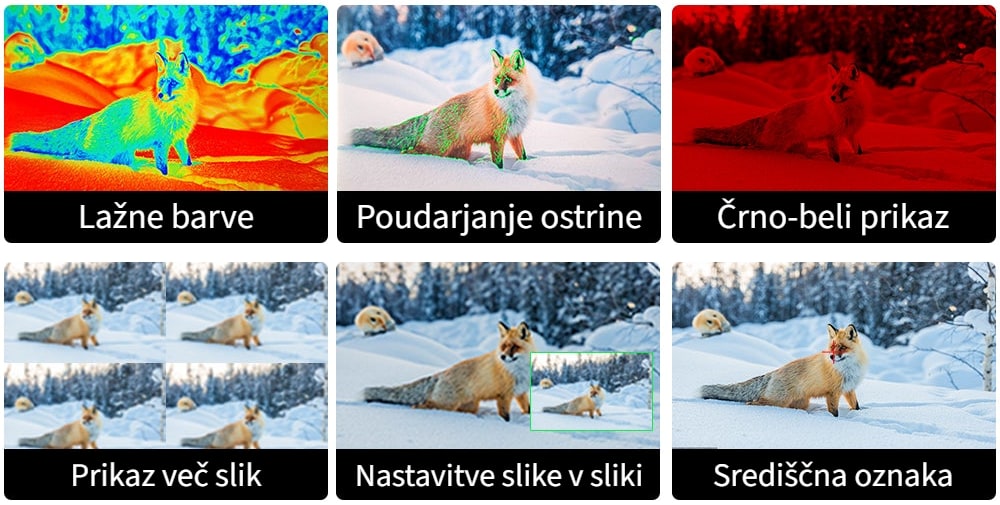 Profesionalne pomožne funkcije