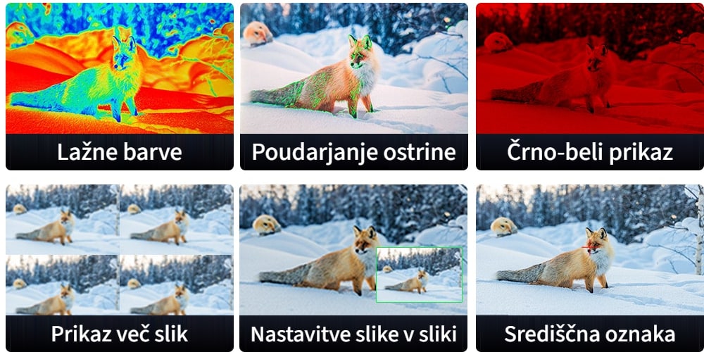 Profesionalne pomožne funkcije
