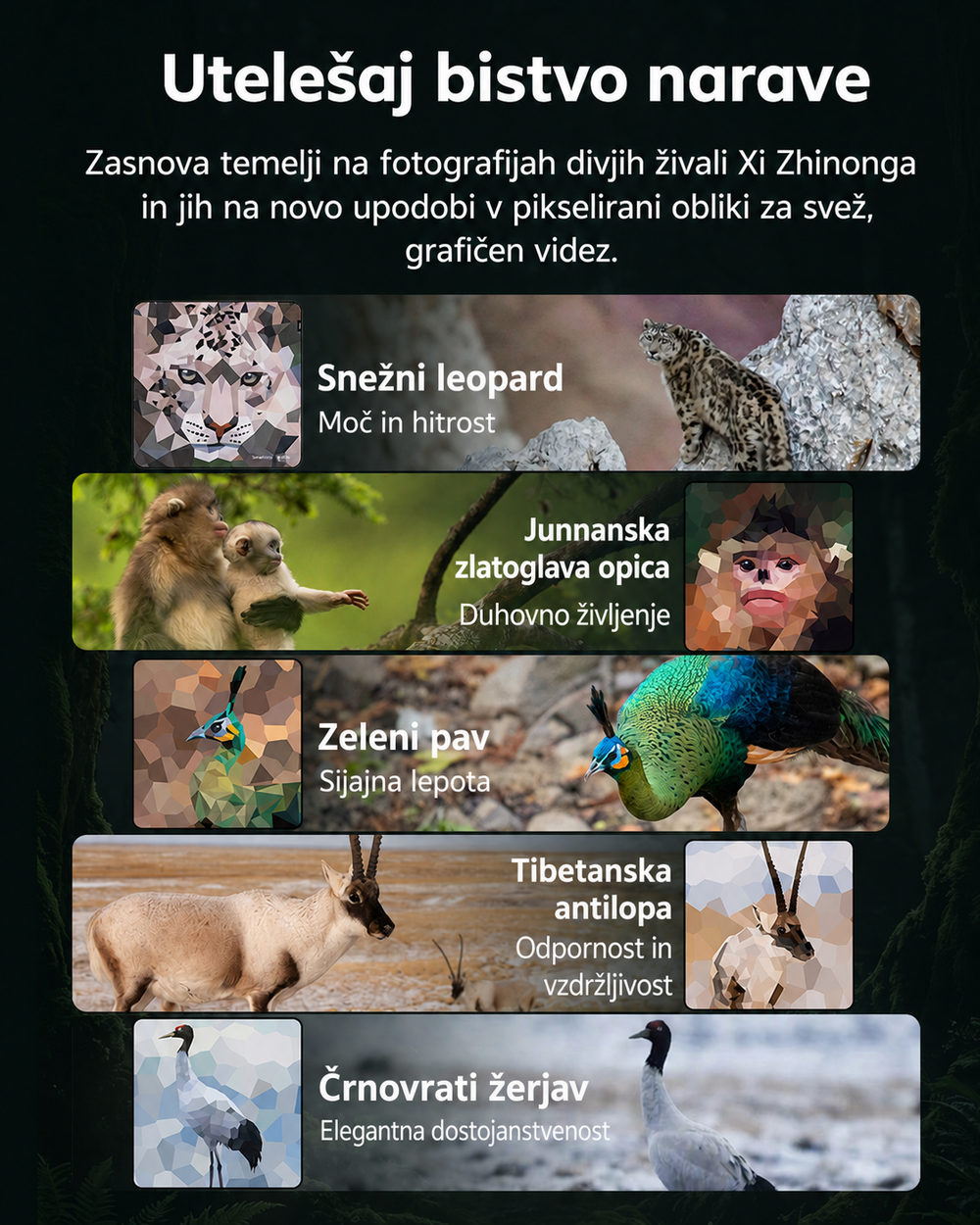 SmallRig 5925 infographic 02