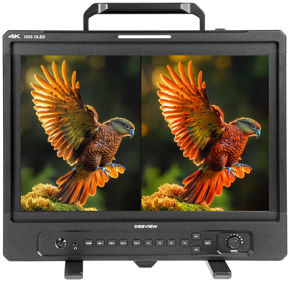 Desview Core OL16 Ultra 12G – En monitor, več pogledov