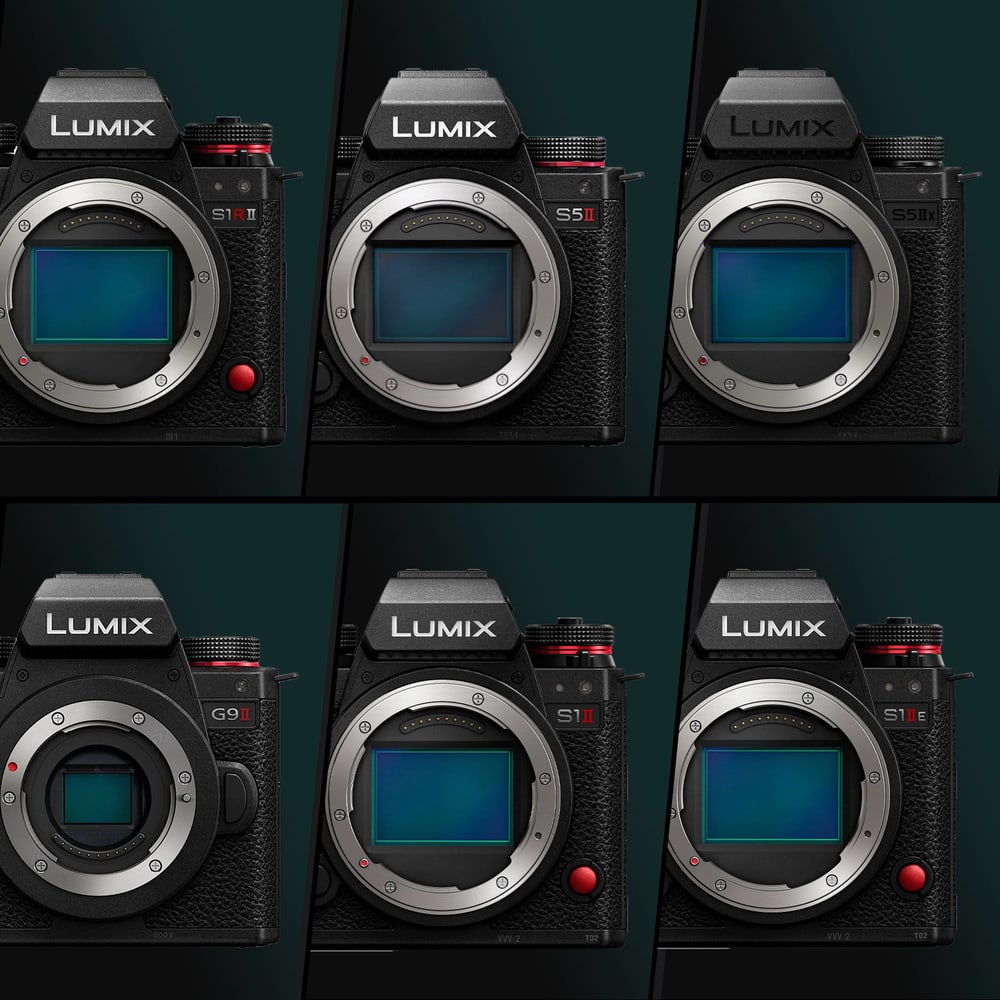 Šest ohišij Lumix, ena kletka